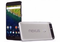 Google       Nexus