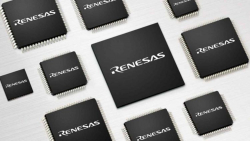 Renesas         50 %