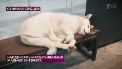 Собака из Сургута прославилась на всю страну и стала героиней федерального шоу